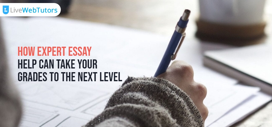 How Expert Essay Help Can Take Your Grades to the Next Level